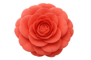 Poster - Coral rose blossom revealing intricate petal layering, soft-focused on translucent surface with vibrant hues highlighted