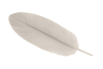 Poster - Close-up of a single white feather, delicately floating against a transparent background, creating a serene and ethereal image