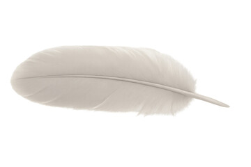 Poster - Single white feather with transparent background, ideal for graphic design projects related to lightness, purity, and softness