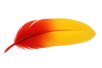 Poster - Colorful feather changing from red to yellow with transparent background, ideal for creative projects