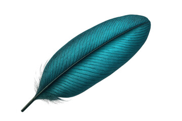 Poster - Teal feather studio shot, transparent backdrop highlighting intricate detail and graceful silhouette against clean background