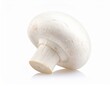 © RR 27 - Whole white button mushroom with stem isolated on white background
