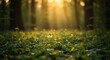 © Arcadia - Sunlit Yellow Wildflowers in a Lush Green Forest