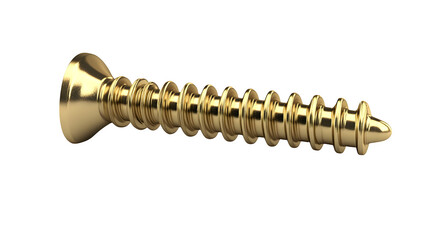 Fototapete - A realistic rendering of a standard Phillips head screw (architectural size), isolated on Transparent background.