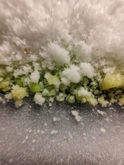 Aufkleber - Macro Capture of Frost Particles on Frozen Vegetable Pack Showcasing Soft Texture at Right Margin