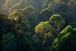 © BISO - Vibrant forests tropical sunlight greenery photo vertical shot