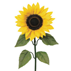 Poster - Bright and vibrant sunflower with yellow petals and dark center, surrounded by green leaves, symbolizing warmth and positivity. Perfect for floral arrangements or decorations