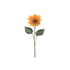 Poster - vibrant sunflower with bright yellow petals and green leaves, symbolizing warmth and positivity. This flower stands tall, perfect for adding cheerful touch to any design