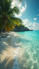 Poster - Palm tree on a tropical white sand beach with turquoise water.