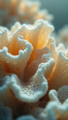 Poster - Intricate White Coral Structures with Porous Details, Textured Surface, and Warm Tones in a Macro Close-Up