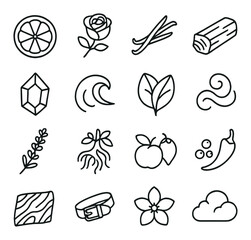 Nature and organic flat icon collection. eco, botanical, and wellness symbols set