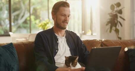 Poster - Remote work from home, cat and man on sofa, laptop or problem solving with online editing. Pet owner, freelancer or writer with animal, pc or research for article, creativity or feedback for proposal