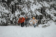 © qunica.com - A group of three friends share laughter and excitement while frolicking in the snow within a scenic forest covered in a blanket of fresh snowfall, emphasizing joy and companionship.