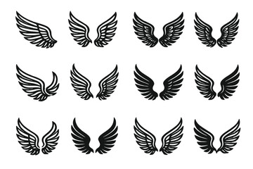 Poster - Various black wing designs showcasing intricate details and varying styles for creative projects and inspirational uses