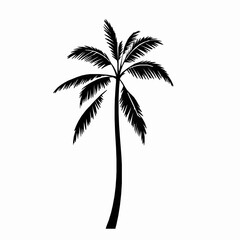 Poster - Simple black silhouette of a tropical palm tree isolated on white background representing summer vacations and beaches