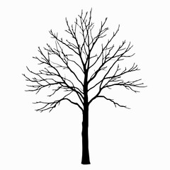 Poster - Silhouette of a bare tree in black isolated on white background perfect for nature art and graphic designs