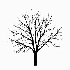 Poster - Silhouette of a bare tree against a clean white background illustrating the natural beauty of winter season and minimalist design