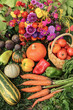 © Viktor Iden - Autumn harvest of fresh pumpkin, tomato, pepper, carrot, zucchini vegetable with beautiful colorful fall flowers bouquet in garden. Organic fall vegetables background texture