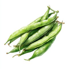 Poster - Watercolor Painting of Fresh Green Beans on White Background, Ideal for Promoting Healthy Eating and Sustainable Agriculture Projects : Generative AI
