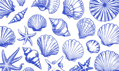 a modern vector-style collection of detailed seashell and marine illustrations, include a variety of