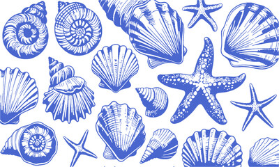 a modern vector-style collection of detailed seashell and marine illustrations, include a variety of