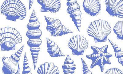 a modern vector-style collection of detailed seashell and marine illustrations, include a variety of