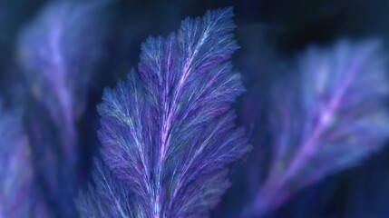 Poster - Fractal Plant With Vibrant Purple Hues Creates an Intricate Natural Pattern in a Striking Design