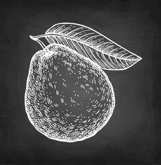 Wall Mural - guava with leaf chalk sketch