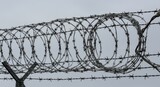 Barbed Wire Sharp Metal Fence Security Protection Boundary Photo