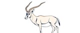 Elegant line art illustration of a gemsbok antelope, showcasing intricate details of horns and body,  bovid,  wildlife
