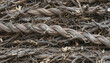 © Murtaza - Stack Of Twisted Logs And Twigs