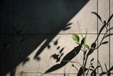 Green plant leaves form a vibrant natural texture on a wall, capturing the essence of spring growth