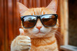 © inas - Cool ginger cat wearing sunglasses giving thumbs up gesture with confidence and attitude