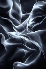 Poster - An ethereal abstract design featuring flowing, translucent lines in shades of white against a deep black background, creating a sense of movement and tranquility.