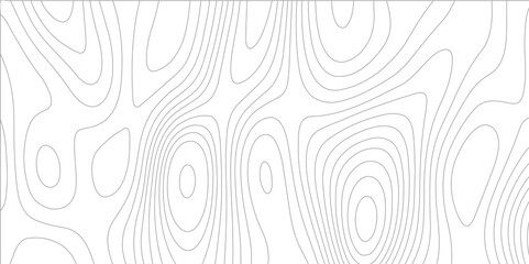 Poster - Abstract background with topographic map white background. The stylized height of the topographic map contour in black lines. gradient multicolor wave curve lines banner background design.