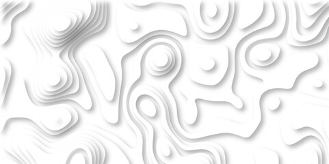 Poster - paper cut 3d render topography abstract, beautiful white Background. geometric map relief texture with curved layers and shadow. Realistic papercut decoration textured with wavy vector design.