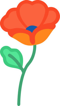 poppy flower vector outline icon on white or transparent background