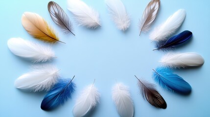 Poster - Various feathers in shades of blue, white, and brown are arranged in a circular pattern on a light blue surface, creating a vibrant and artistic display during the day