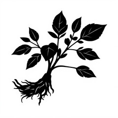 Poster - Black silhouette of plant with roots and leaves vector illustration for botanical design element use