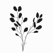 © SourceOfPhotos - Black and white floral vector illustration with leaves and decorative botanical elements