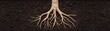 © pingpao - A tree root system spreads underground in dark, rich soil, displaying branching roots and earthy texture.