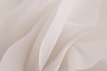 Poster - Abstract light fabric soft gentle folds