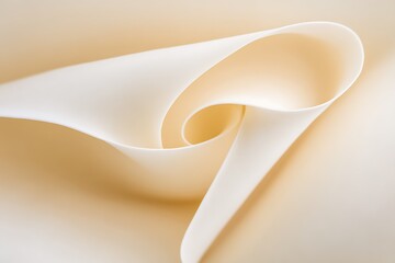 Poster - Abstract paper swirl soft color design