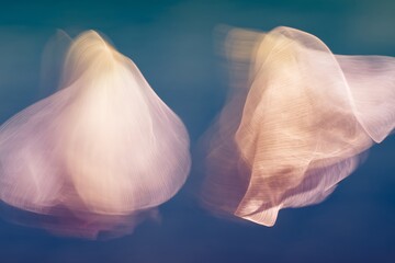 Poster - Abstract floating forms blurred light effect