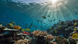 under water  reef and fish