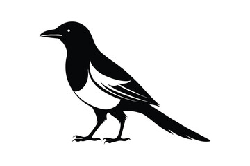 minimalistic magpie bird silhouette on a white background