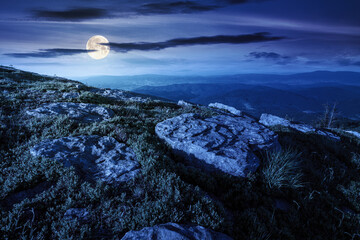 Wall Mural - scenic view of alpine landscape in summer at night. peaceful nature environment with green meadow an
