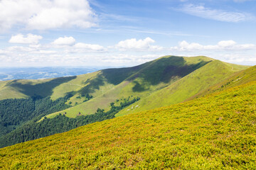 Wall Mural - green mountain landscape with rolling hills. nature environment. beautiful view of borzhava ridge on
