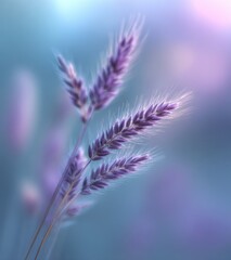 Leinwandbilder - Purple Wheat Stalks Against Soft Blue Background, Evoking Serenity and Natural Beauty for Wellness Campaigns and Peaceful Reflections : Generative AI