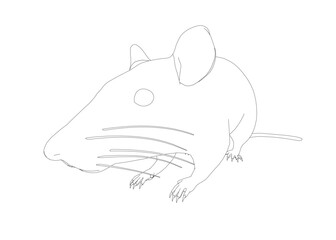Poster - A mouse is drawn in black and white. The mouse is sitting on a white background. The mouse is drawn with a simple outline and no shading